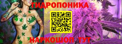 ECSTASY Краснознаменск