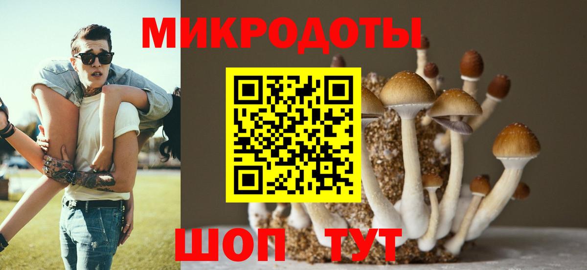 Еманжелинск  Псилоцибиновые грибы прущие грибы  Вход с VPN 